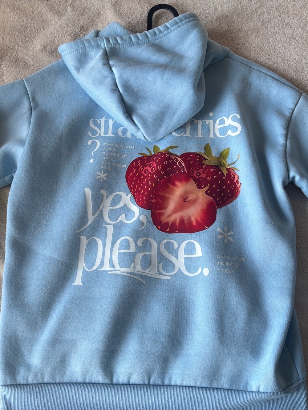 Light Blue Hoodie - Strawberry Designs